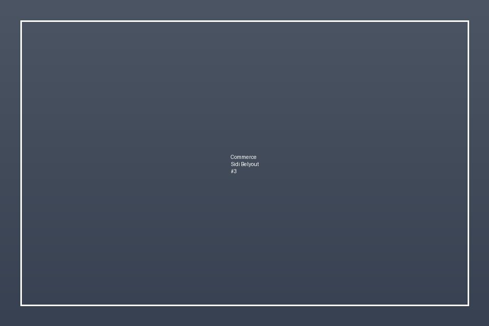 Commerce LCD — Sidi Belyout — صورة 3