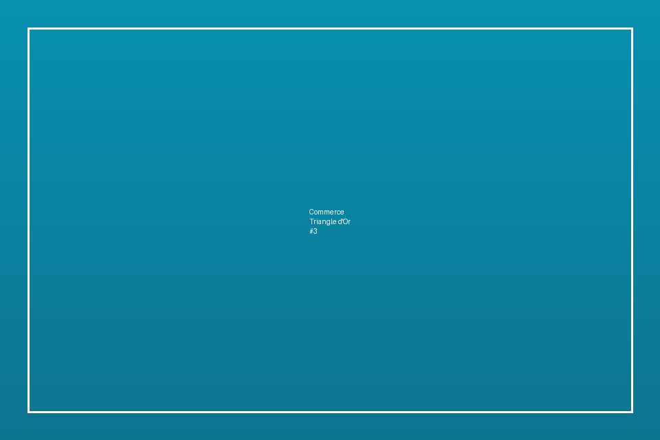 Commerce Location — Triangle d'Or — صورة 3