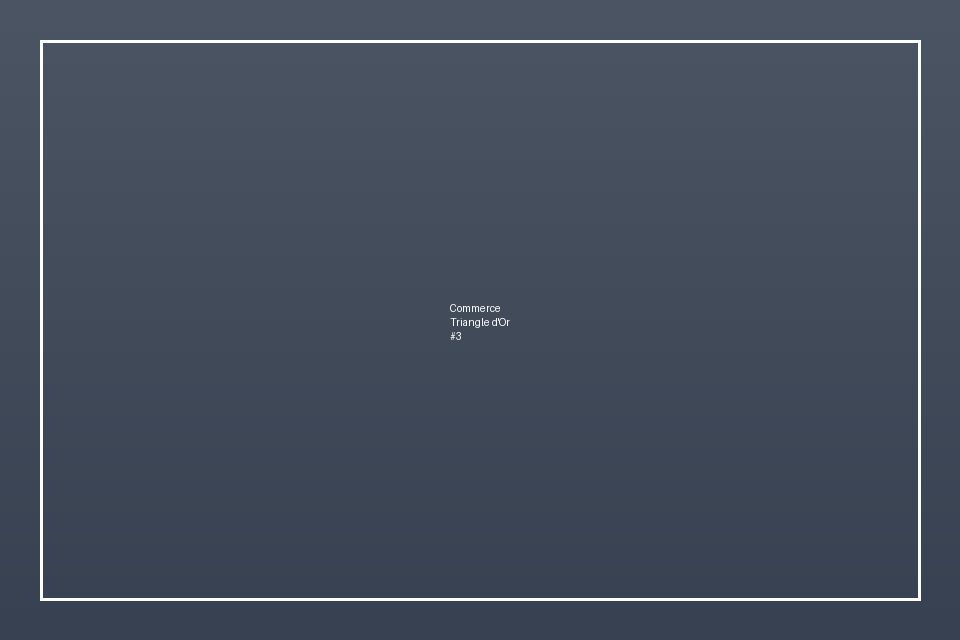 Commerce LCD — Triangle d'Or — صورة 3